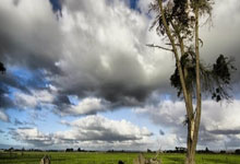 柏太阳神球员因伤缺席比赛：伤病阴影下的坚韧与希望