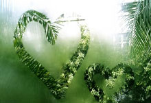 柏太阳神球员因伤缺席比赛：伤病阴影下的坚韧与希望