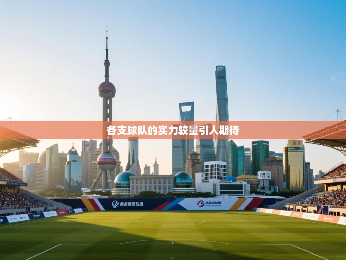 各支球队的实力较量引人期待