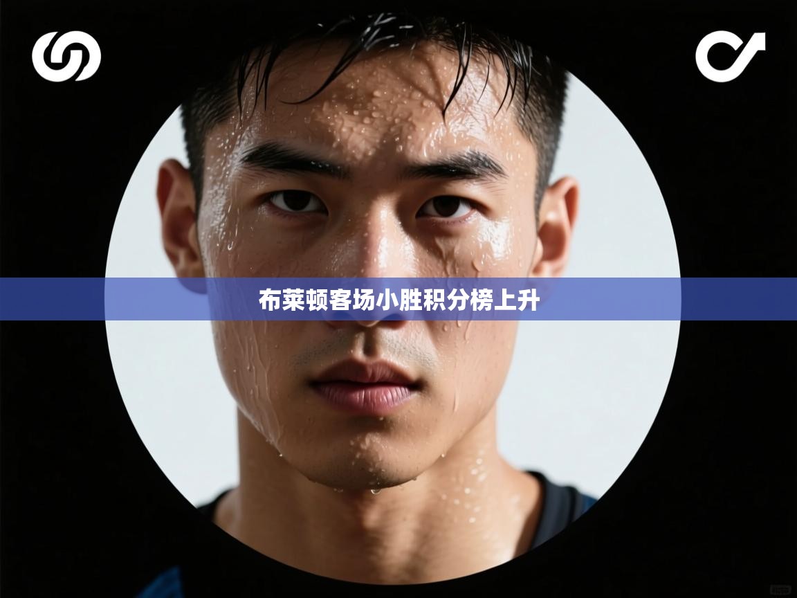 布莱顿客场小胜积分榜上升  第2张