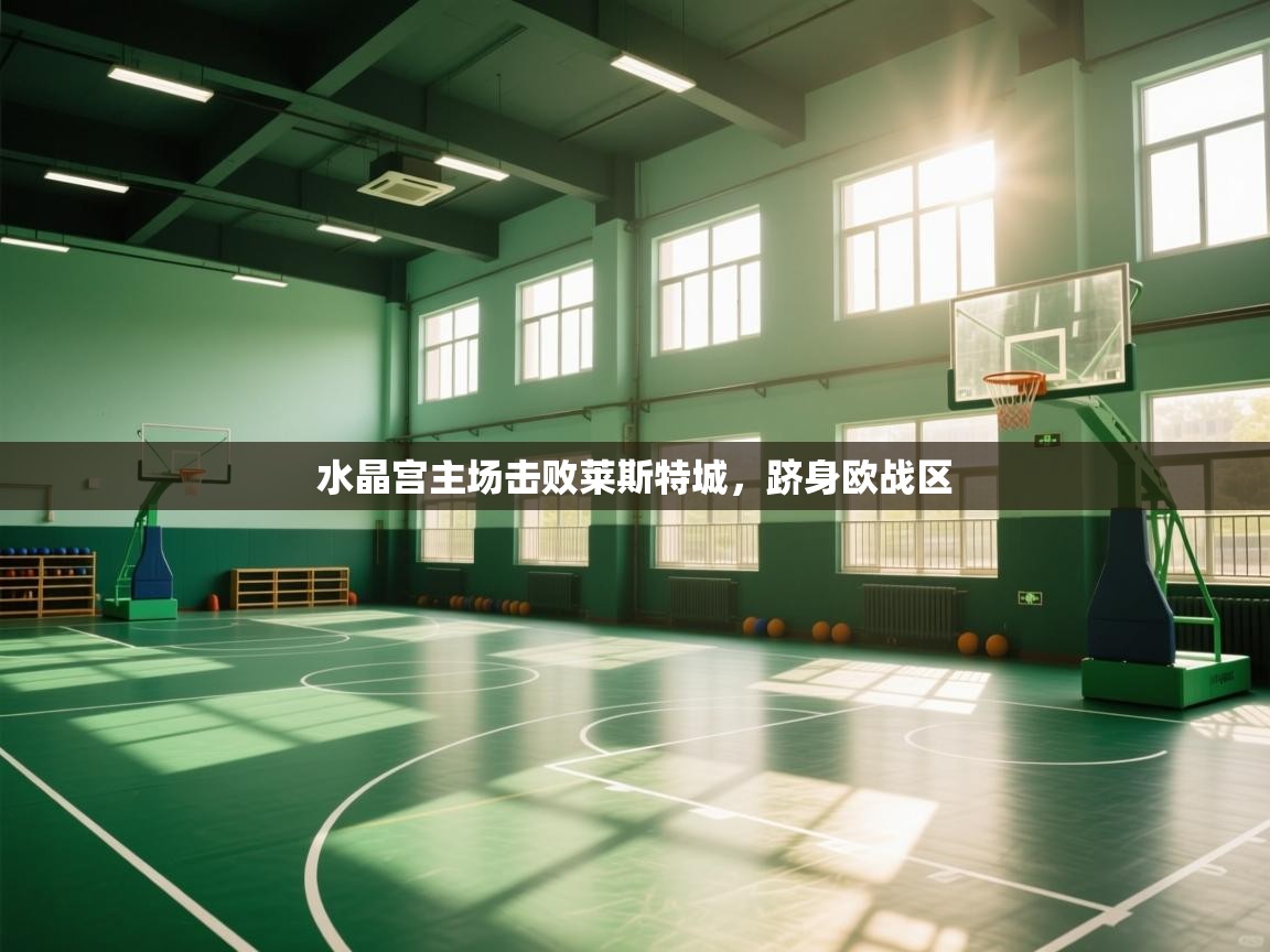 水晶宫主场击败莱斯特城，跻身欧战区